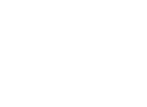 Лого (1)